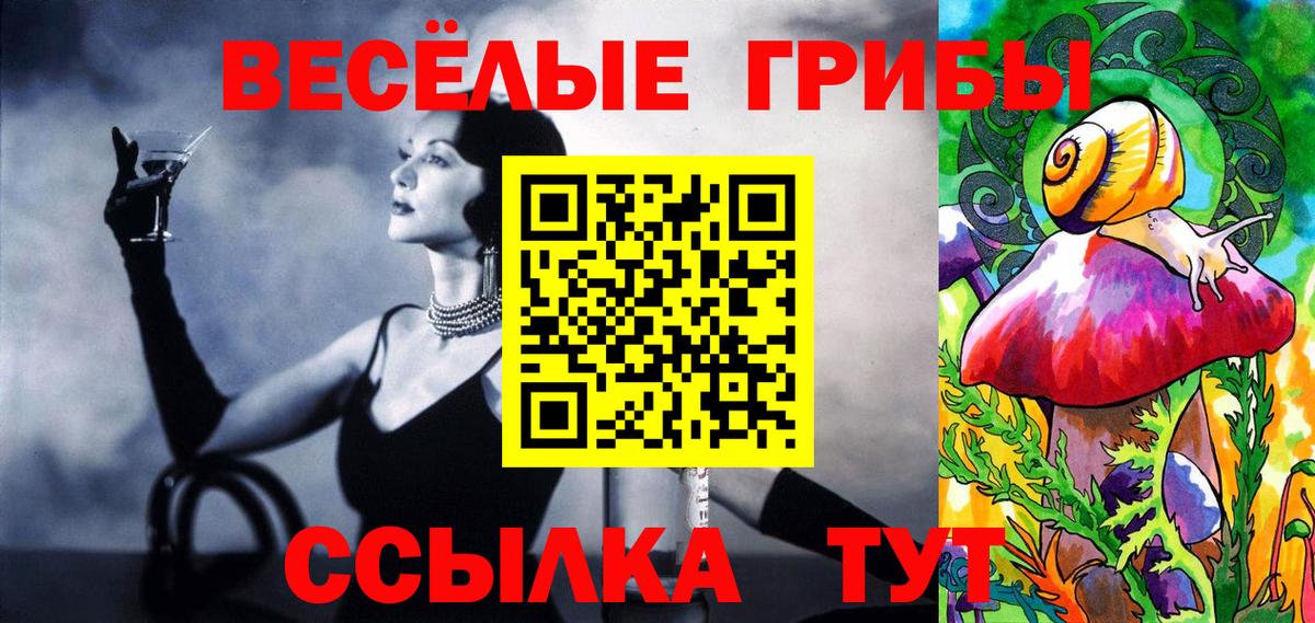 Галлюциногенные грибы Psilocybe  Вход с VPN  Баксан 