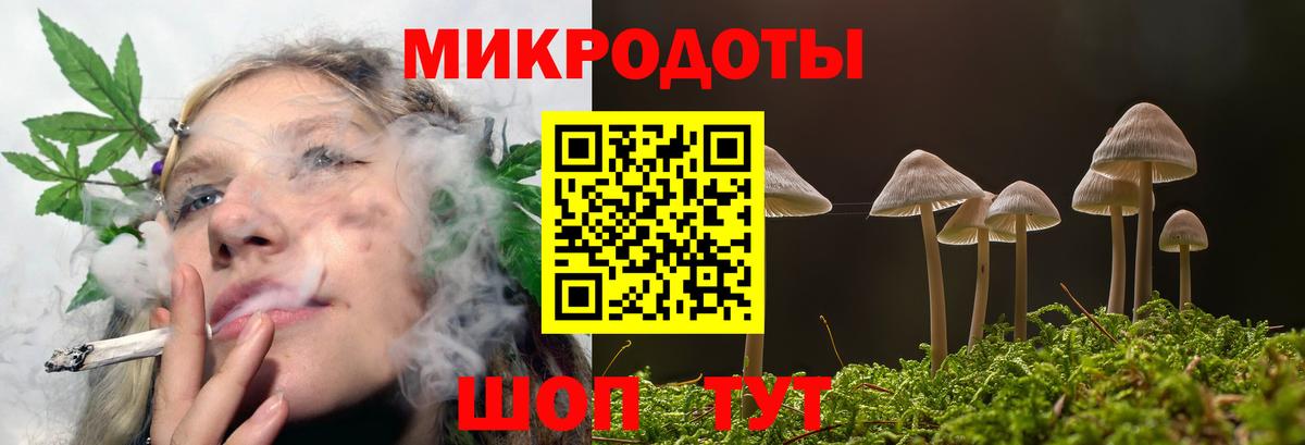 Псилоцибиновые грибы прущие грибы Баксан